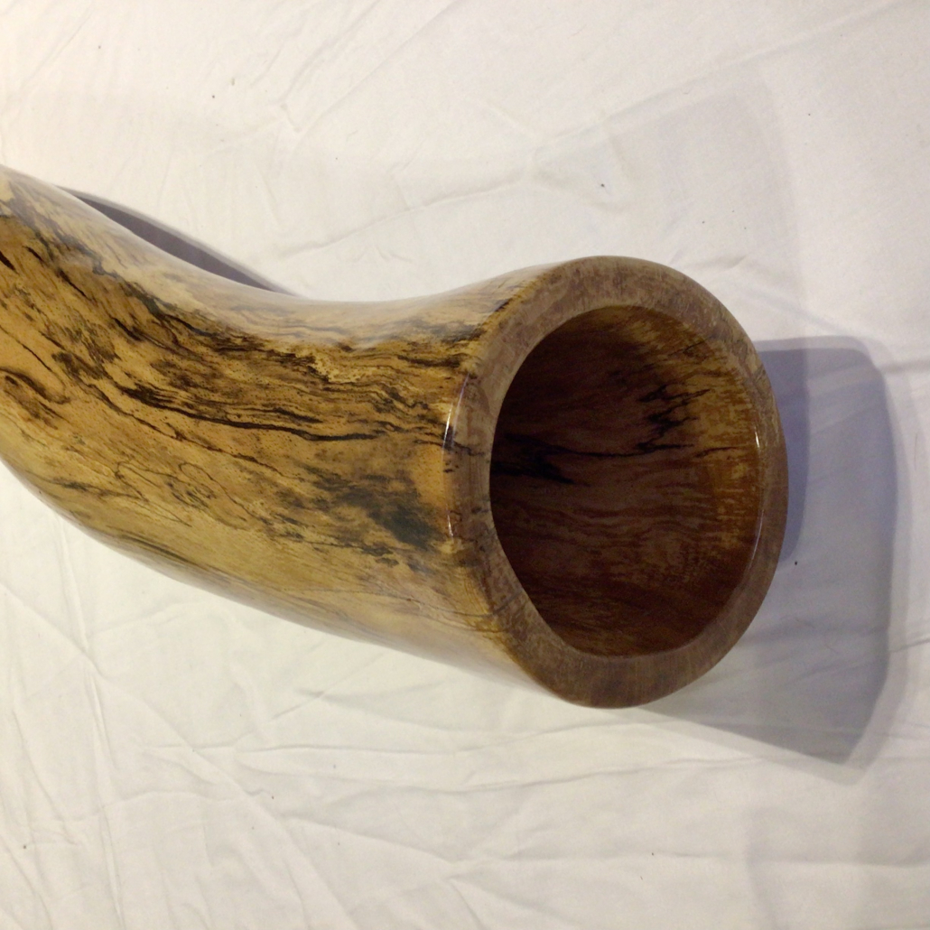 short fat beech 1 - Image 2