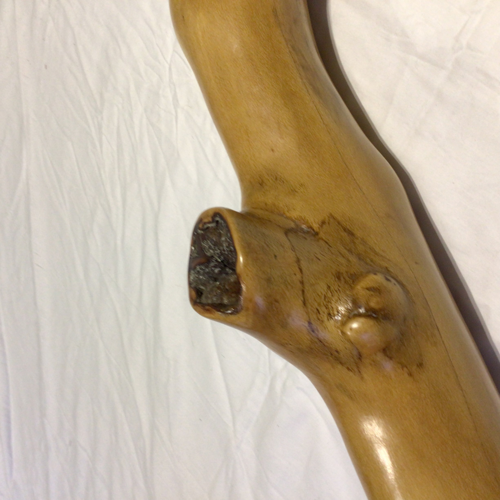 knobbly beech 2 - Image 4