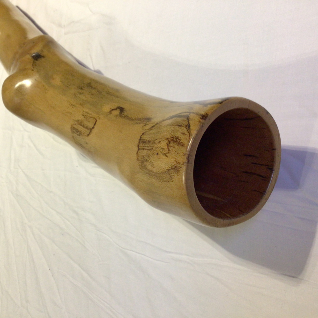 knobbly beech 2 - Image 2