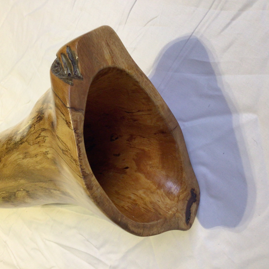 Vocal beech 2 - Image 3