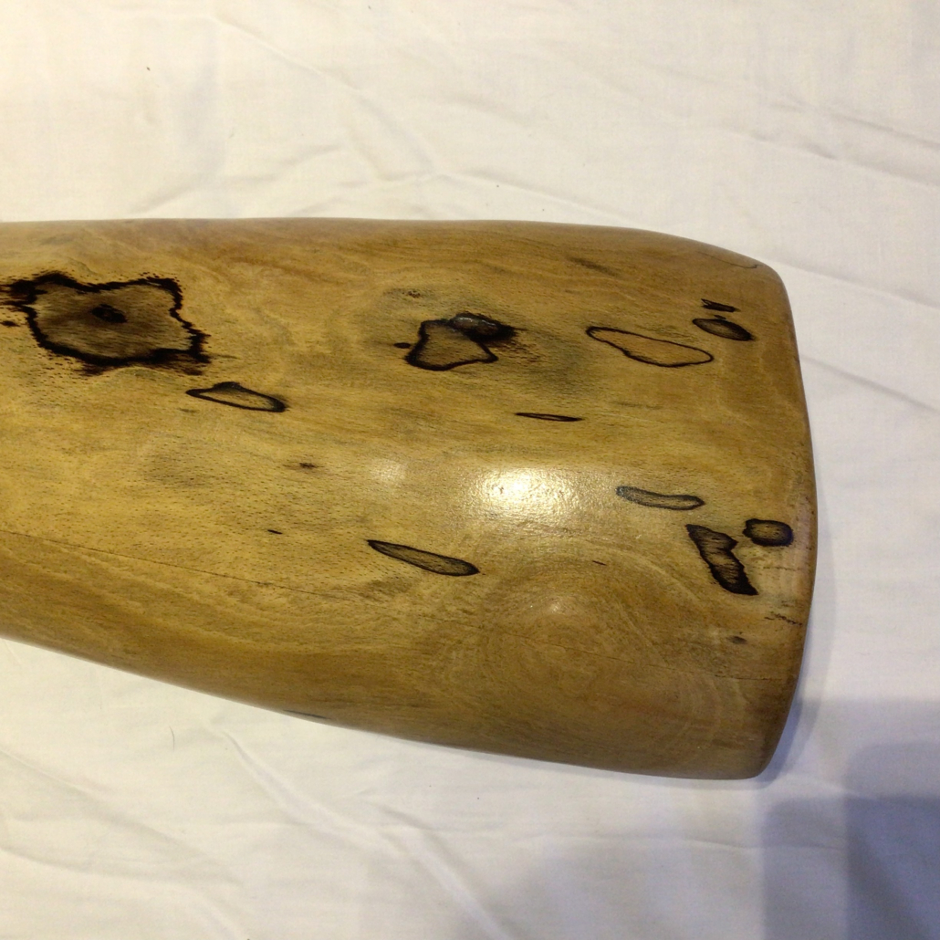 vocal beech 1 - Image 3