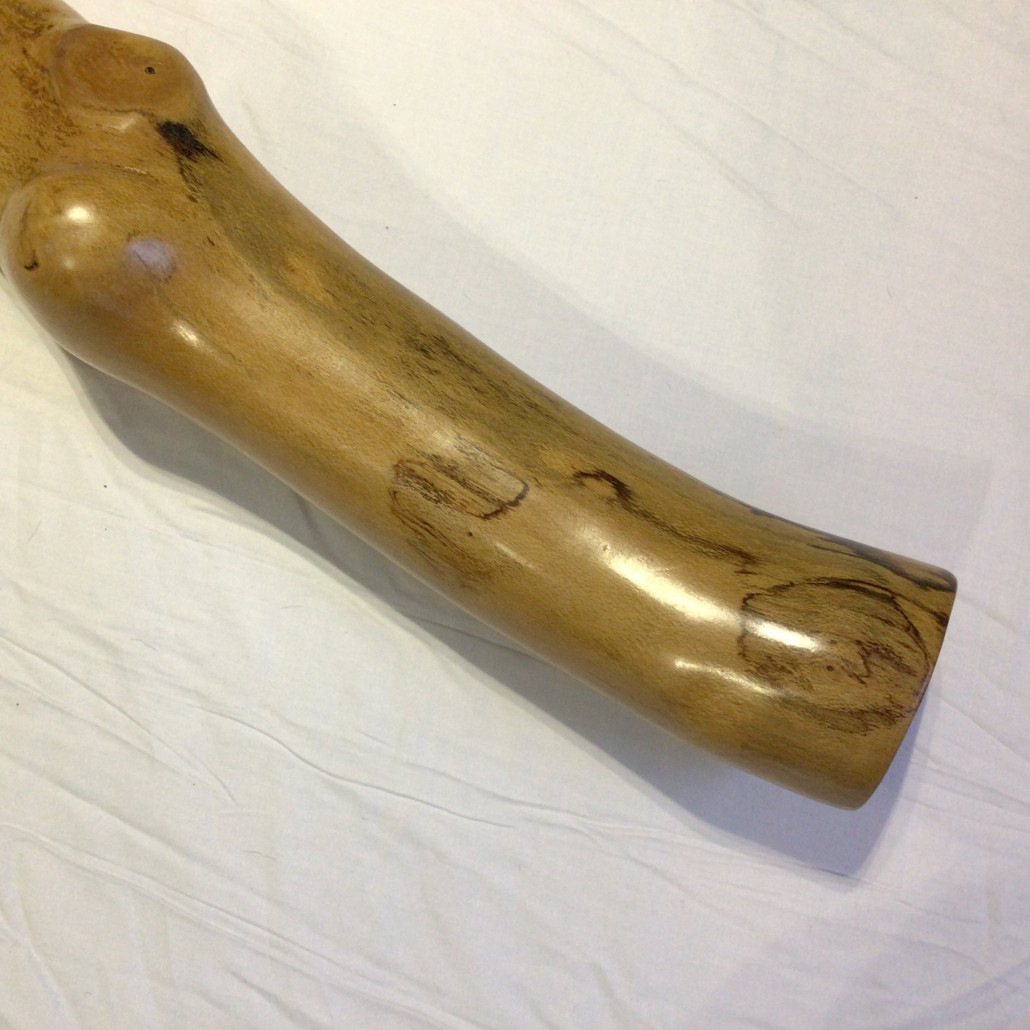 knobbly beech 2 - Image 3