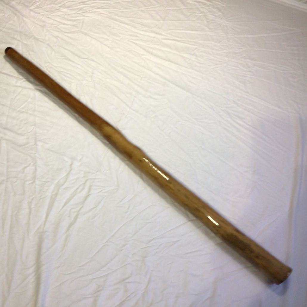 Stringy bark eucalyptus 10