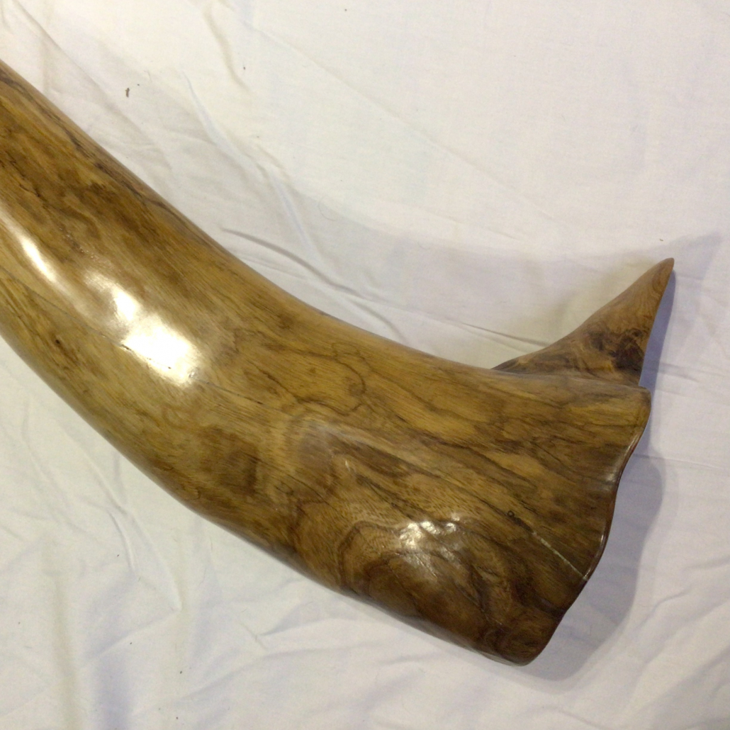 Giant super low Elm - Image 3