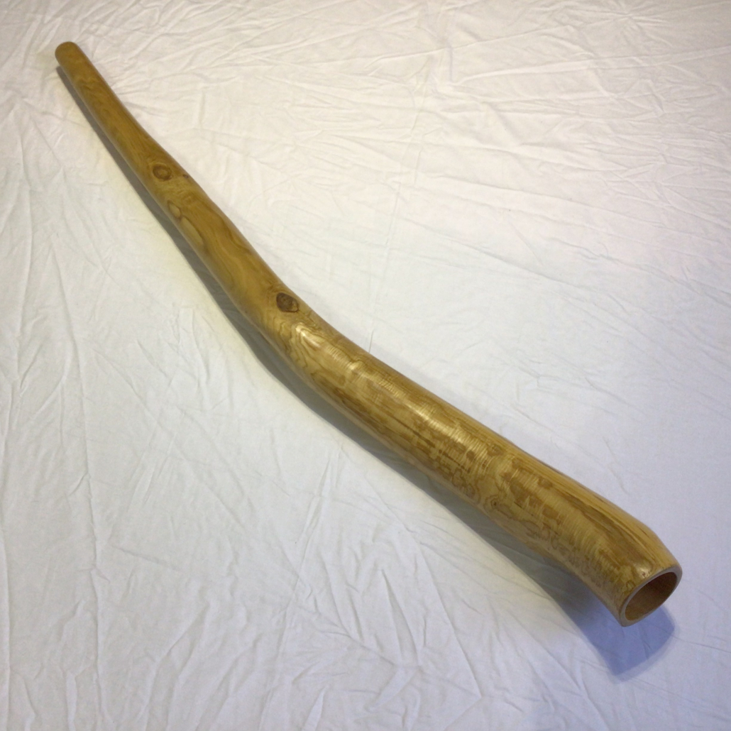 Resonant Sweet chestnut 2