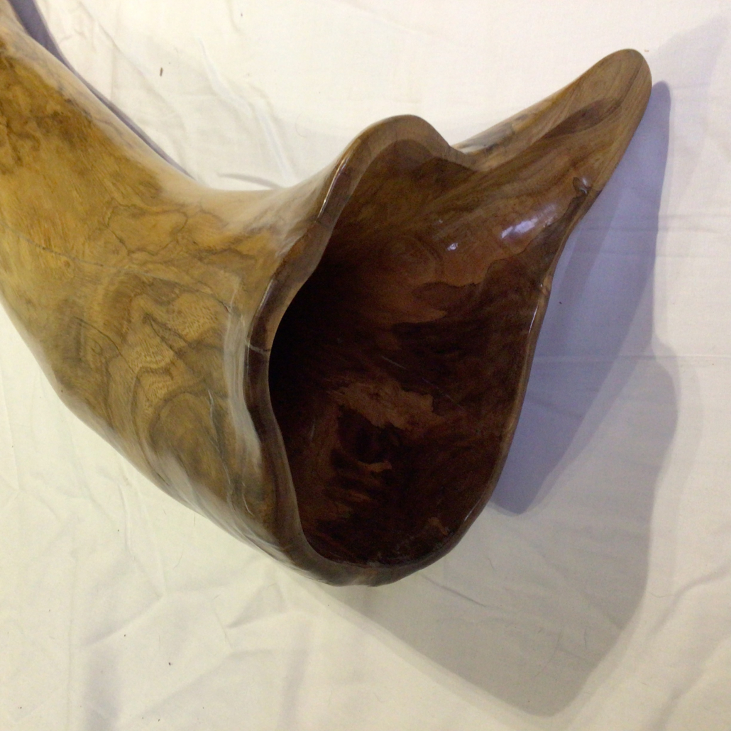 Giant super low Elm - Image 2