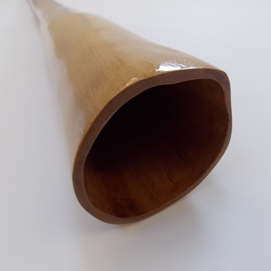 low resonant woolybutt eucalyptus Didgeridoo Shop Didgeridoos by