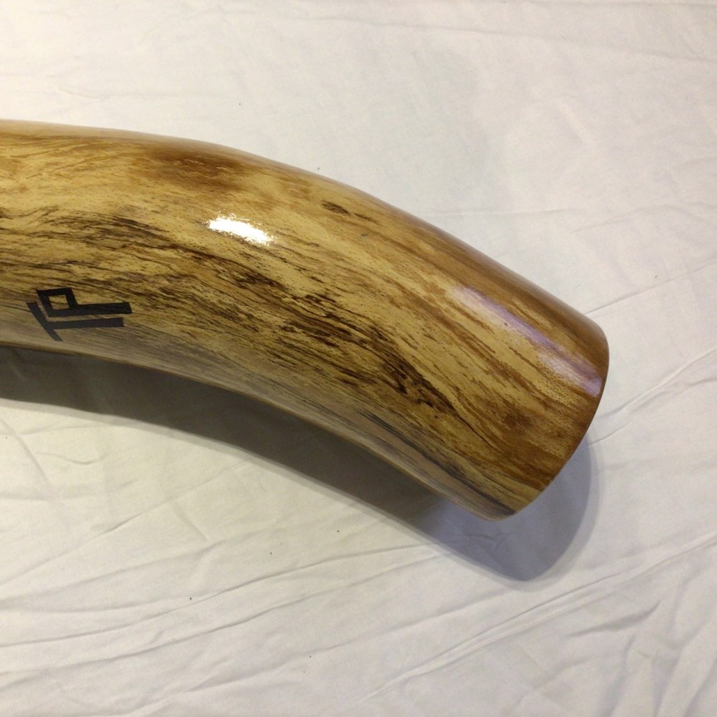 short fat beech 1 - Image 3