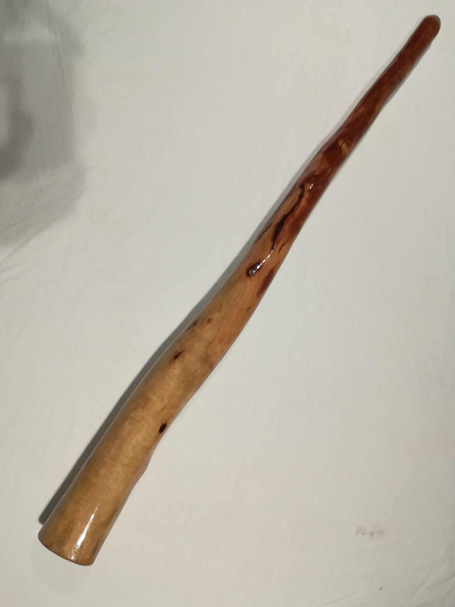 Eucalyptus Archives Didgeridoo Shop Didgeridoos for sale UK